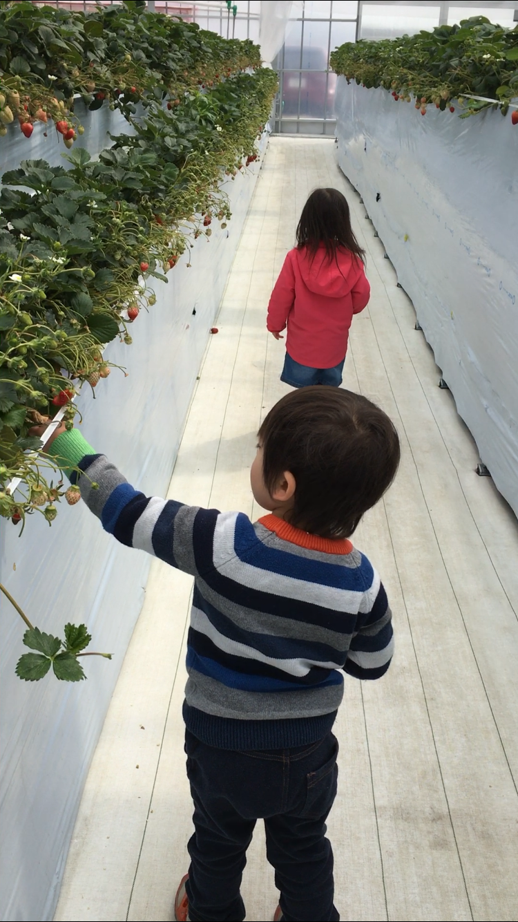 B6751B53-8049-4DC6-A643-6393DB91F656