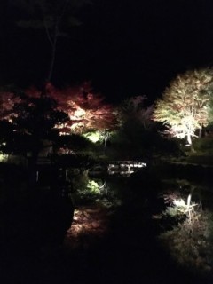 099457E7-8010-4DE8-A835-10D82791970E