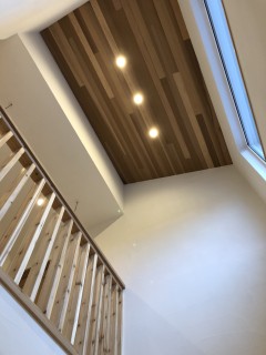 E5735F7D-822A-4DB5-AF43-5CA5CB8BDE02