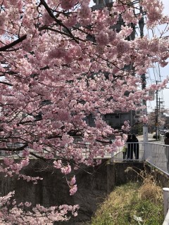 A4EFA59D-9E41-4AB4-BC78-F0D5DE263270