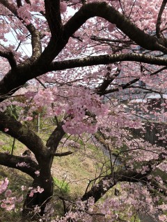 AB2AB7E8-5FAC-4A7B-BD5C-8E1EA8F3BAA5